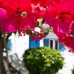 Hotell Acrogiali Beachfront Mykonos