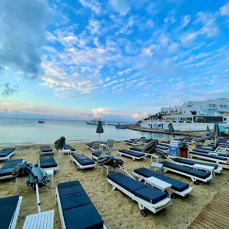 호텔 Acrogiali Beachfront Mykonos Platys Gialos (Mykonos)