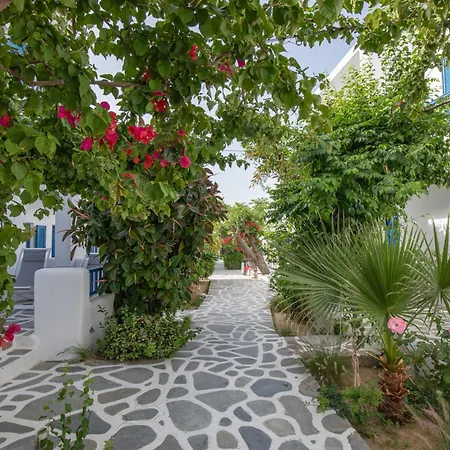 Acrogiali Beachfront Mykonos 4* Platísz Jalósz