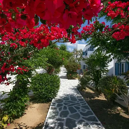 호텔 Acrogiali Beachfront Mykonos 4*
