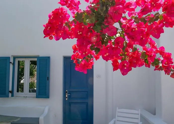 Acrogiali Beachfront Mykonos Hotell 4*