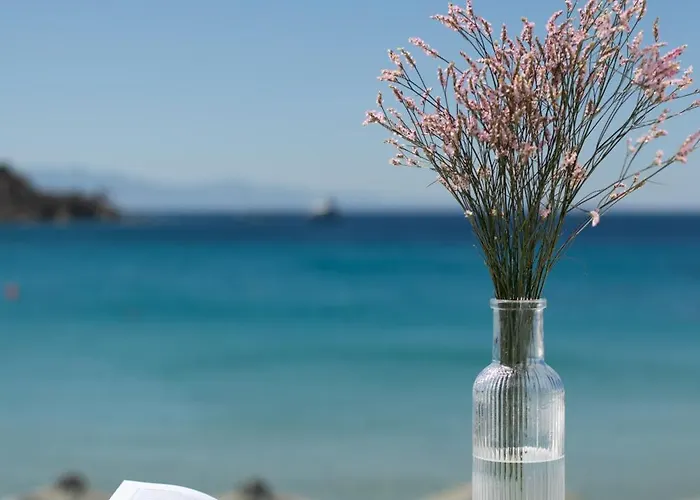 Acrogiali Beachfront Mykonos Hotell Platys Gialos (Mykonos)