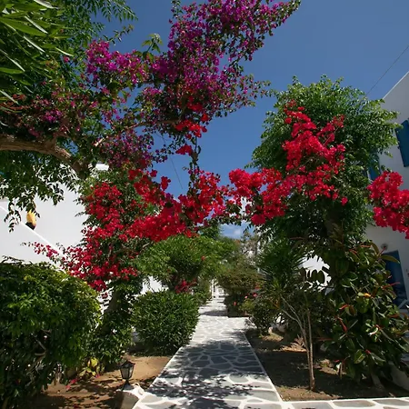 Acrogiali Beachfront Mykonos 4* Platísz Jalósz