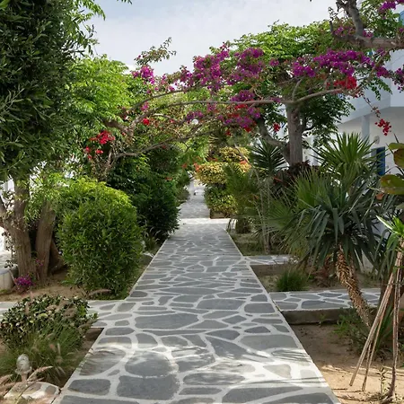 호텔 Acrogiali Beachfront Mykonos Platys Gialos (Mykonos)