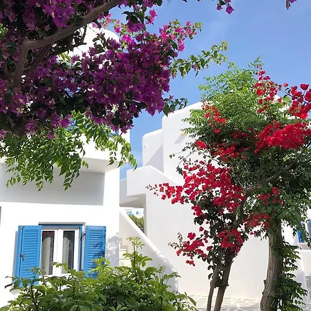 호텔 Acrogiali Beachfront Mykonos 4*