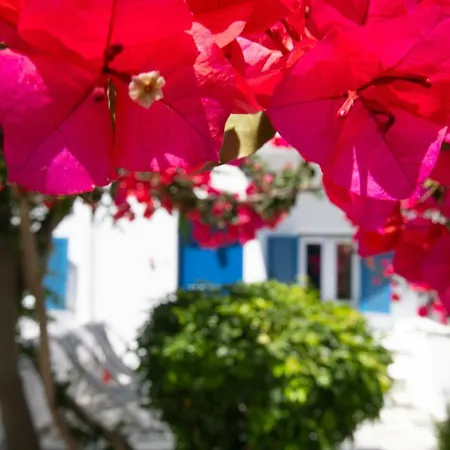 호텔 Acrogiali Beachfront Mykonos