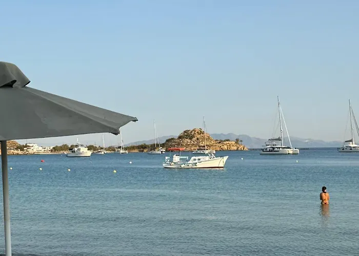 Acrogiali Beachfront Mykonos 酒店 普拉迪斯亚罗斯