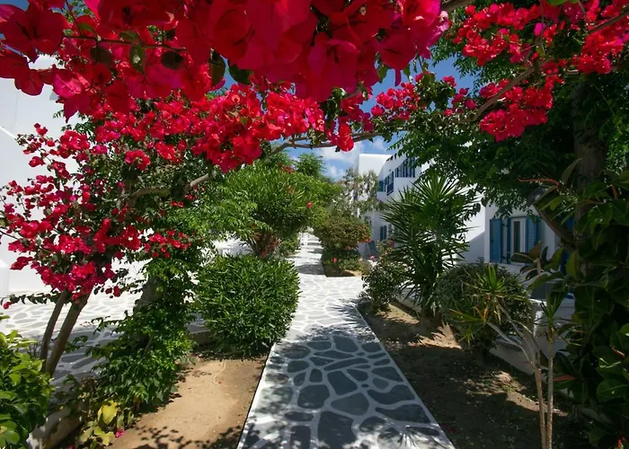 酒店 Acrogiali Beachfront Mykonos 4*