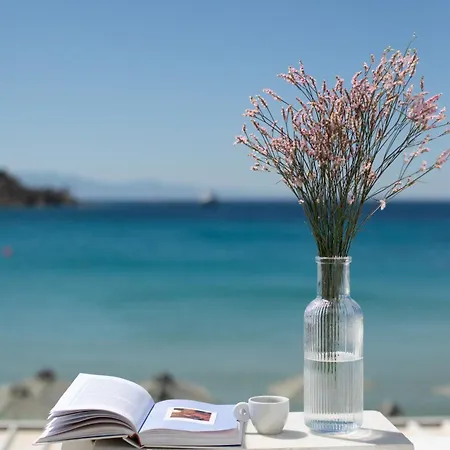 Acrogiali Beachfront Mykonos 酒店 普拉迪斯亚罗斯