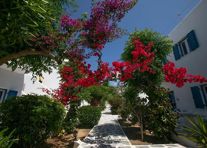 Acrogiali Beachfront Mykonos 4* 普拉迪斯亚罗斯