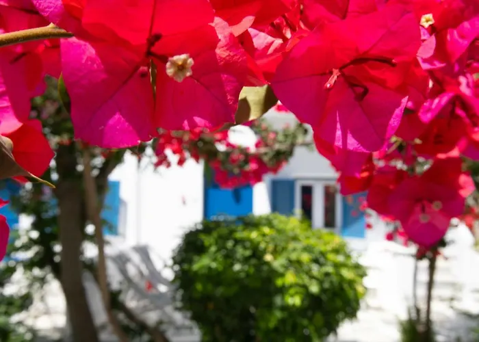 酒店 Acrogiali Beachfront Mykonos